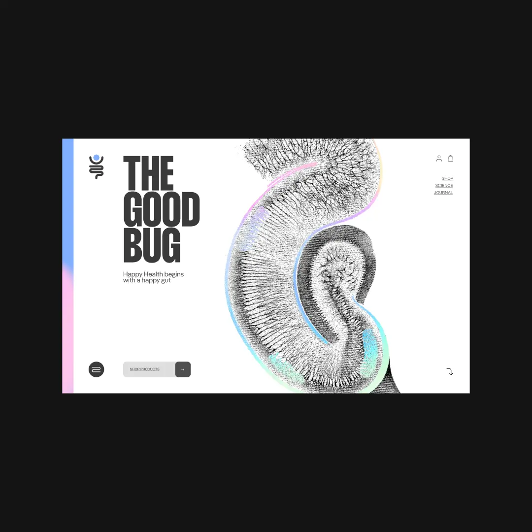 Playbook Image